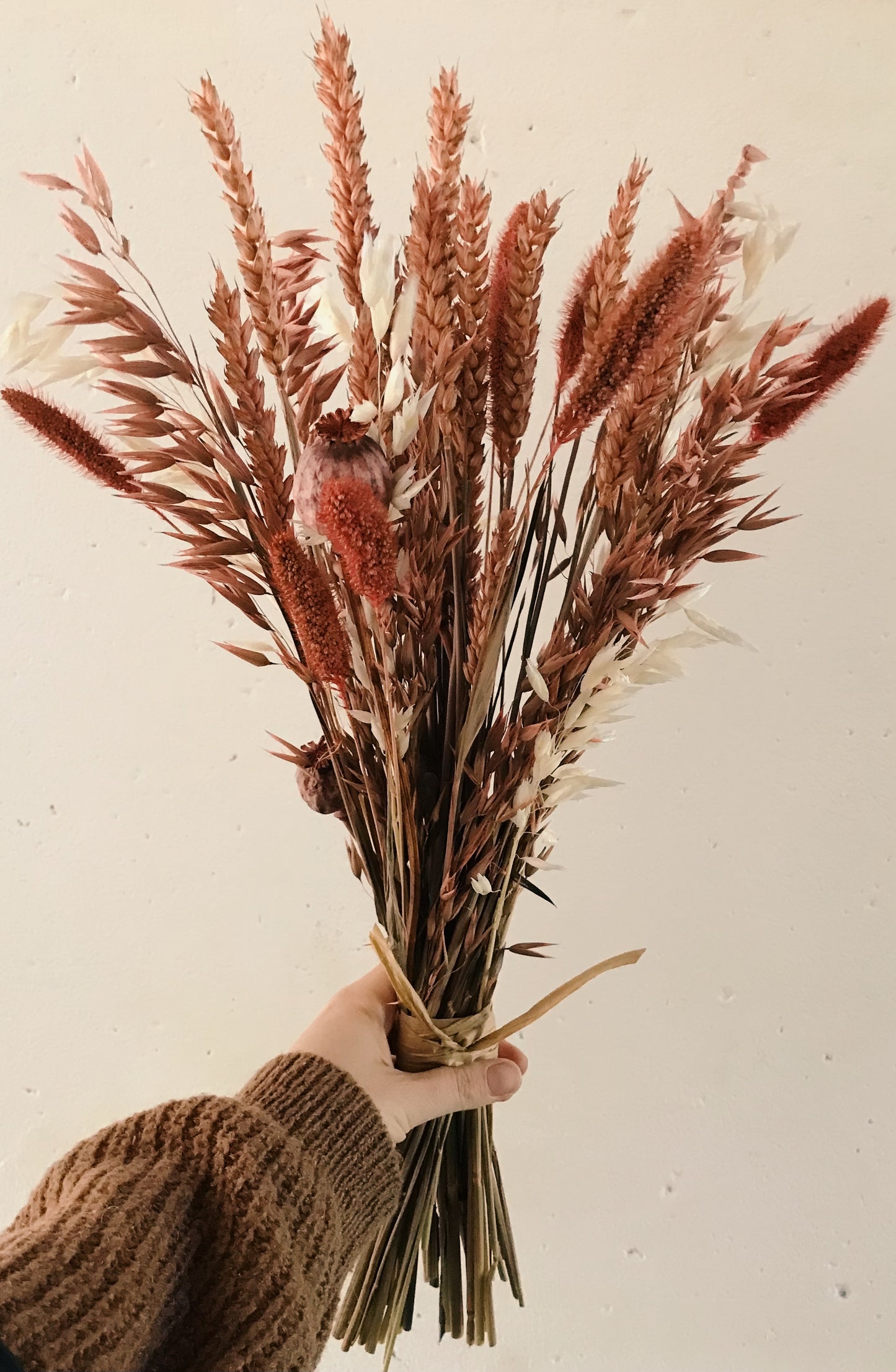 Trockenblumen Strauß Maxi - Lupita