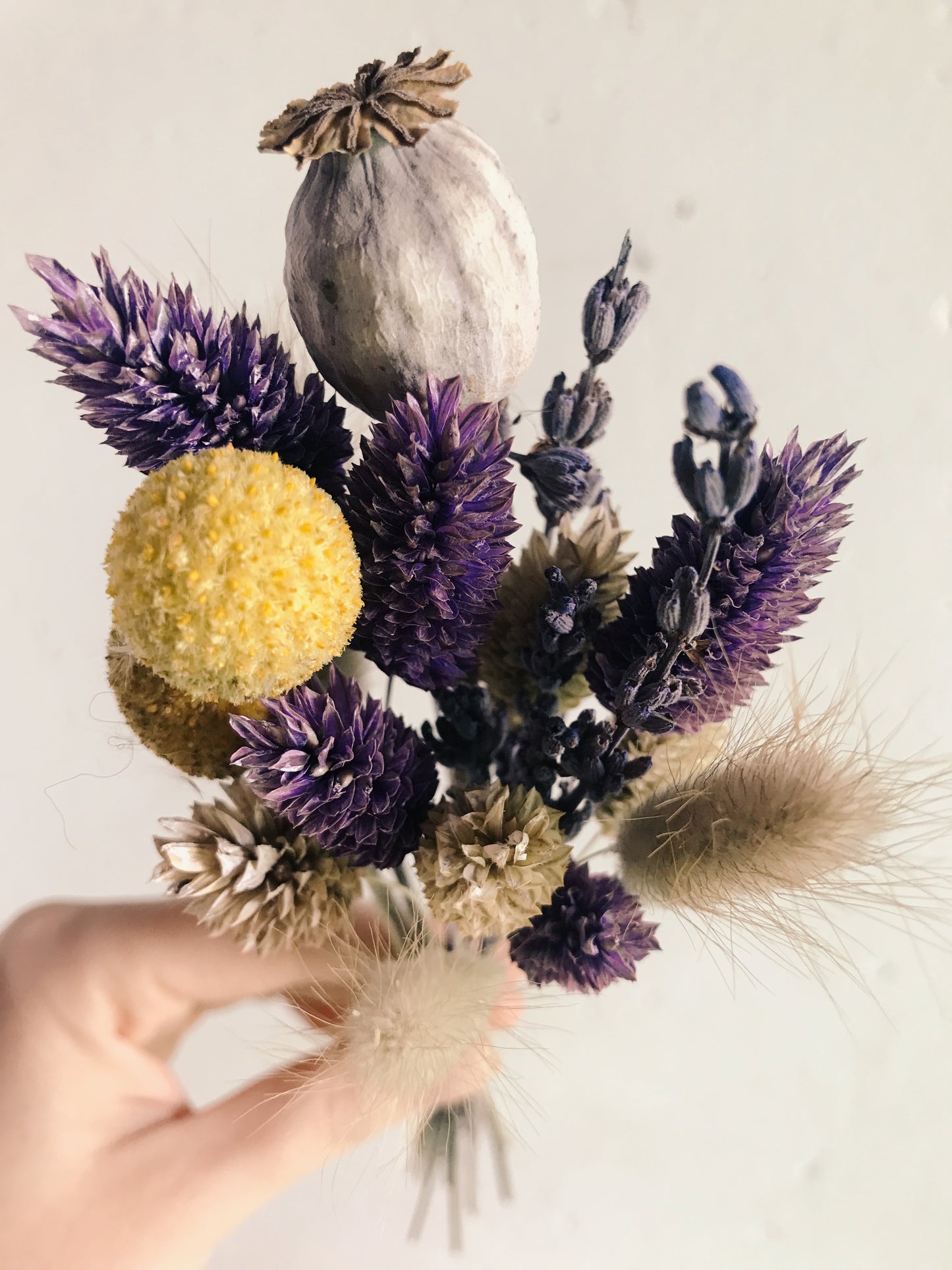 Trockenblumen Strauß Mini - Cynthia