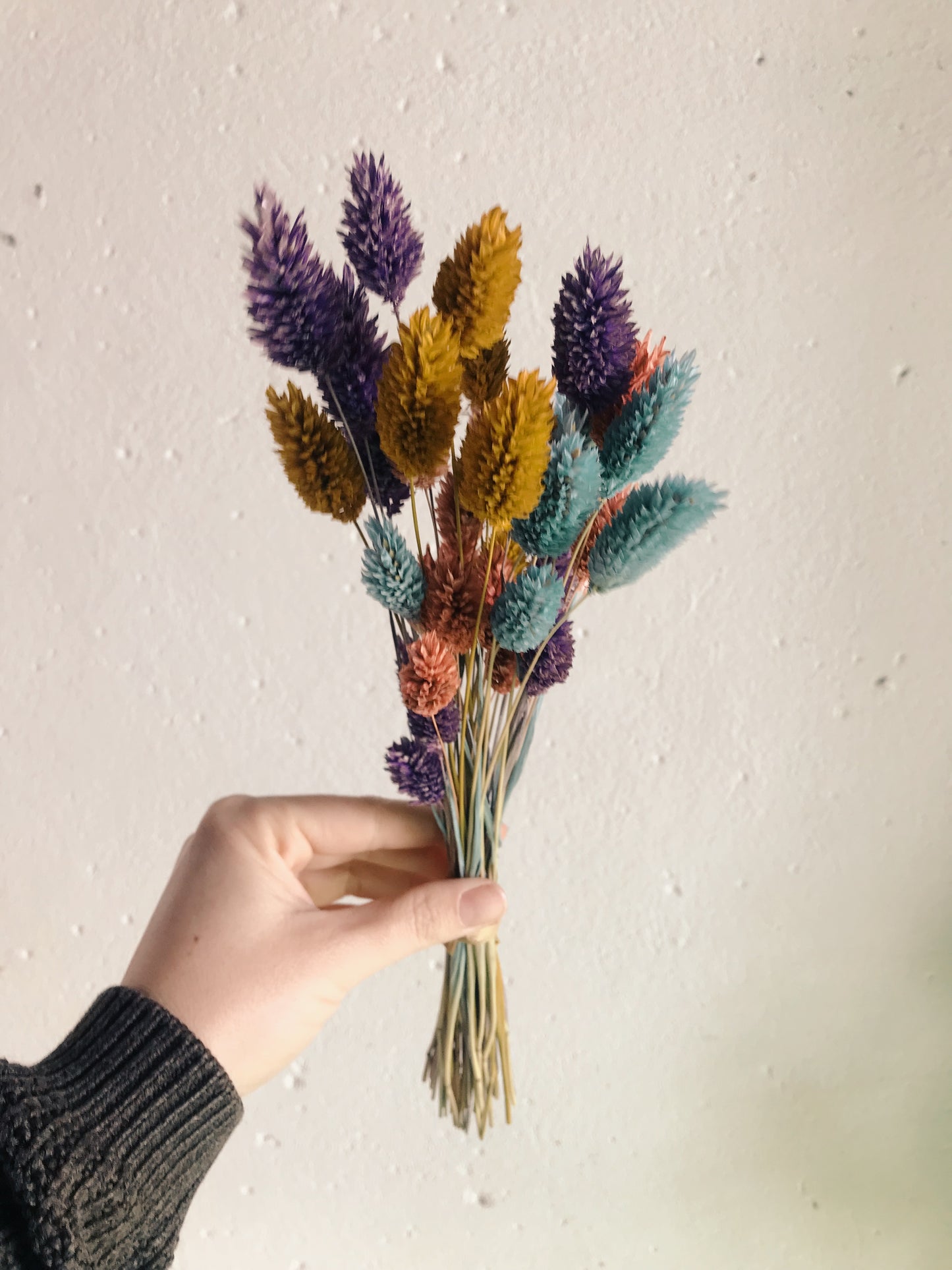 Trockenblumen Strauß Mini - Pride