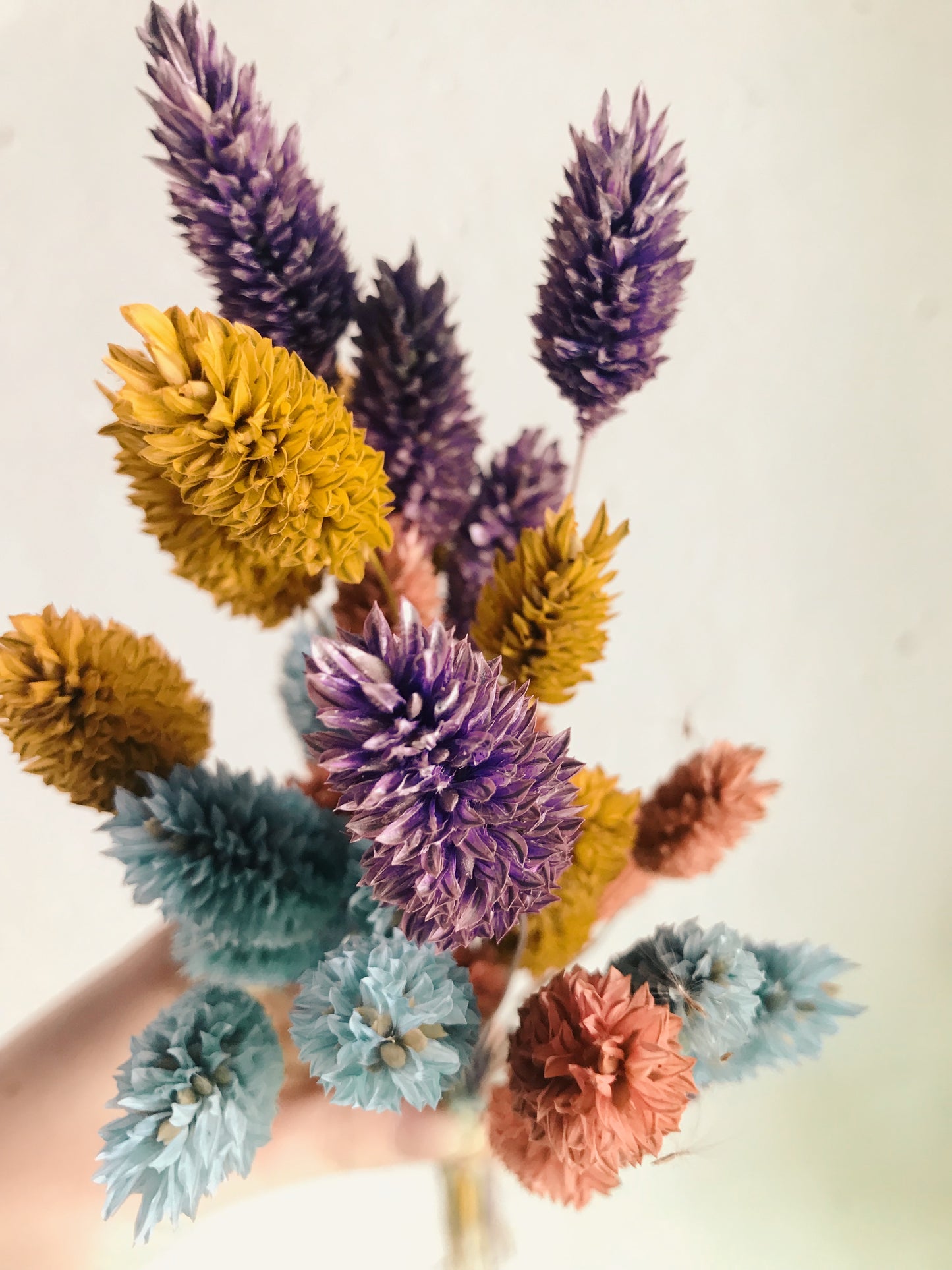 Trockenblumen Strauß Mini - Pride