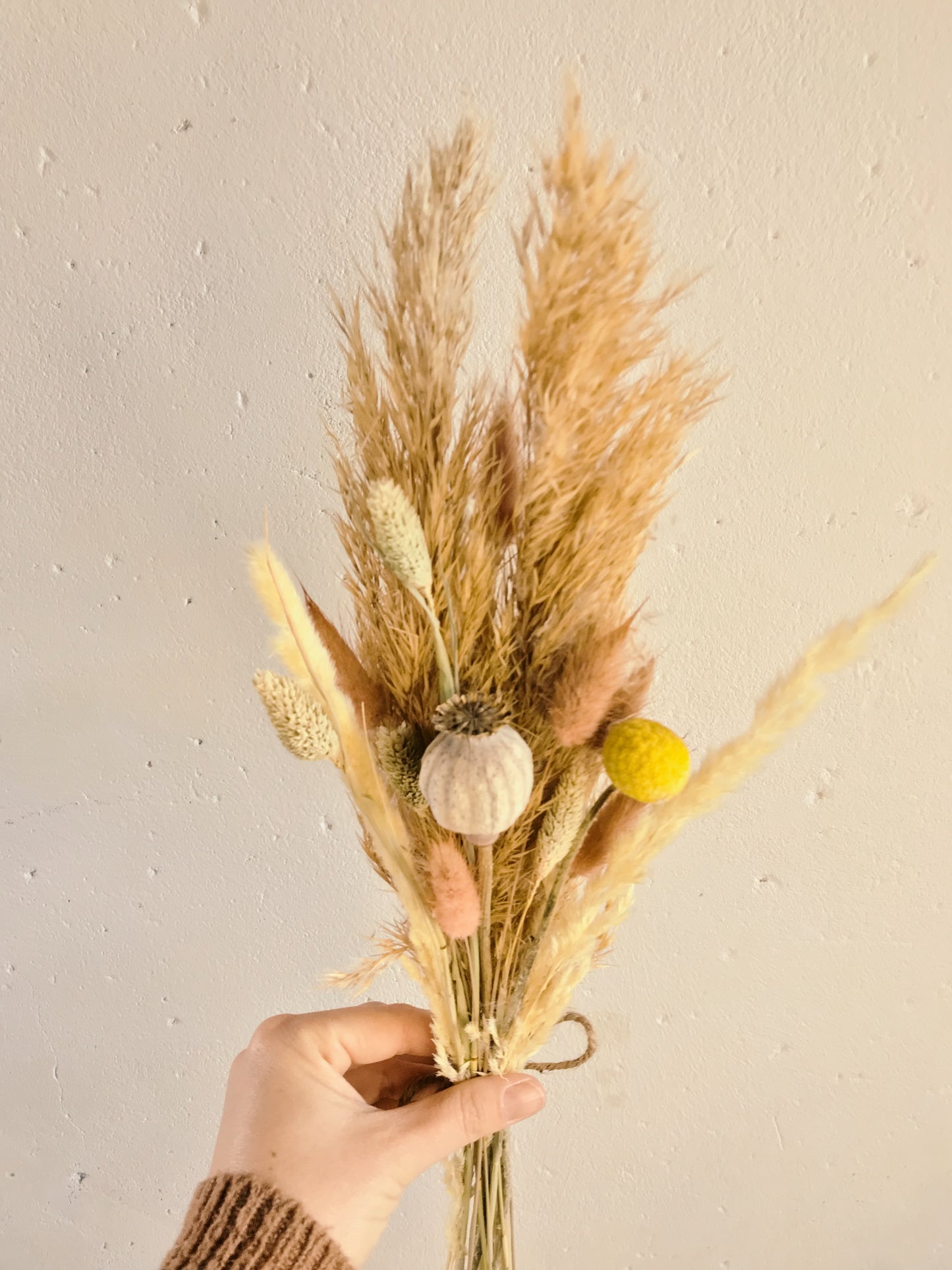 Trockenblumen Strauß Midi - Hugo